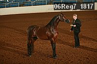 06reg7_1817 thumbnail