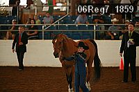 06reg7_1859 thumbnail
