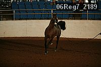 06reg7_2189 thumbnail