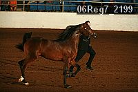 06reg7_2199 thumbnail