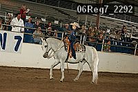 06reg7_2292 thumbnail