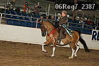 06reg7_2387 thumbnail