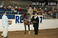 06reg7_2404 thumbnail