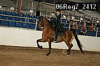 06reg7_2412 thumbnail