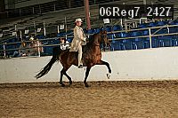 06reg7_2427 thumbnail