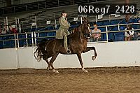 06reg7_2428 thumbnail