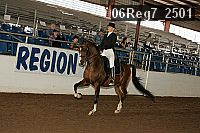 06reg7_2501 thumbnail