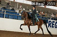 06reg7_2551 thumbnail
