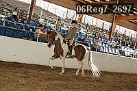 06reg7_2697 thumbnail