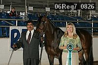 06reg7_0826 thumbnail