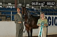 06reg7_0842 thumbnail
