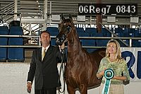 06reg7_0843 thumbnail