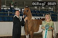 06reg7_0849 thumbnail