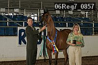 06reg7_0857 thumbnail