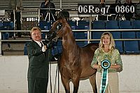06reg7_0860 thumbnail