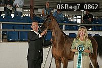 06reg7_0862 thumbnail