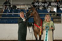 06reg7_0863 thumbnail