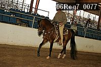 06reg7_0077 thumbnail