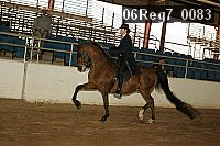 06reg7_0083 thumbnail