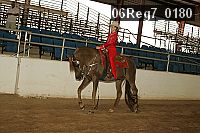 06reg7_0180 thumbnail