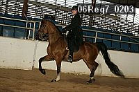 06reg7_0203 thumbnail