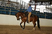 06reg7_0207 thumbnail