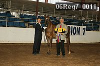06reg7_0011 thumbnail
