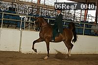 06reg7_0040 thumbnail