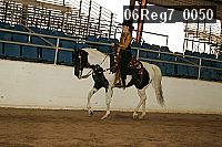 06reg7_0050 thumbnail