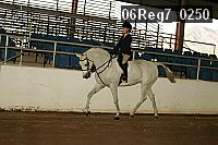 06reg7_0250 thumbnail