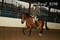 06reg7_0298 thumbnail
