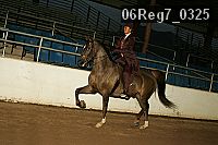 06reg7_0325 thumbnail