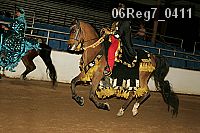 06reg7_0411 thumbnail