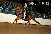06reg7_0412 thumbnail