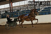 06reg7_0533 thumbnail