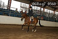 06reg7_0560 thumbnail