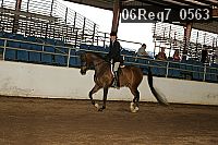 06reg7_0563 thumbnail