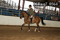 06reg7_0564 thumbnail