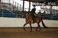 06reg7_0566 thumbnail