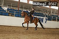 06reg7_0567 thumbnail
