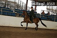 06reg7_0568 thumbnail