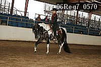 06reg7_0570 thumbnail