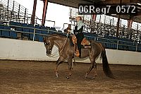 06reg7_0572 thumbnail