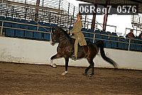 06reg7_0576 thumbnail