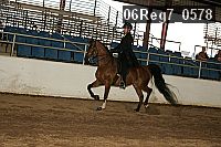 06reg7_0578 thumbnail