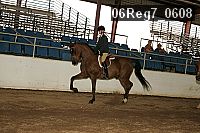 06reg7_0608 thumbnail