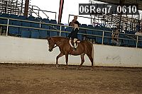 06reg7_0610 thumbnail