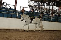 06reg7_0611 thumbnail