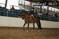 06reg7_0613 thumbnail