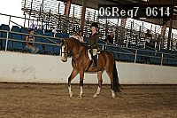 06reg7_0614 thumbnail